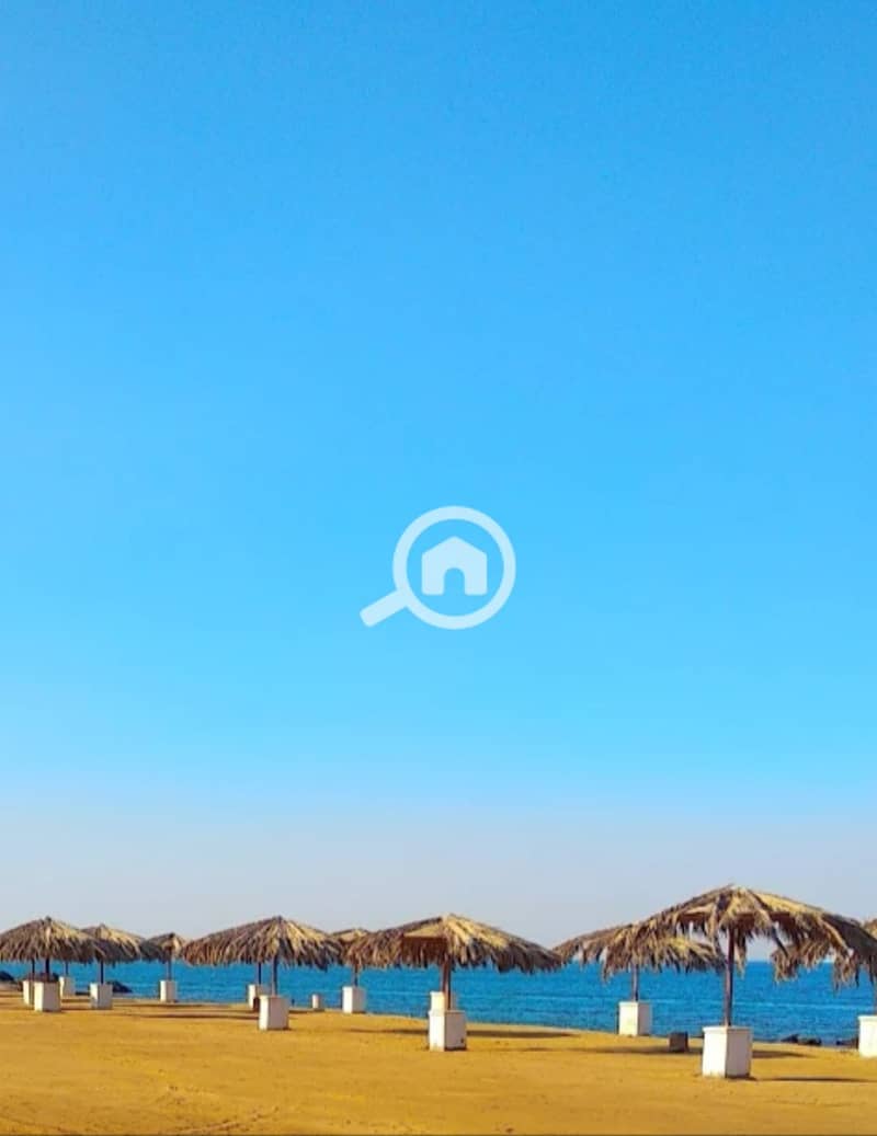 10 1000613748. jpg