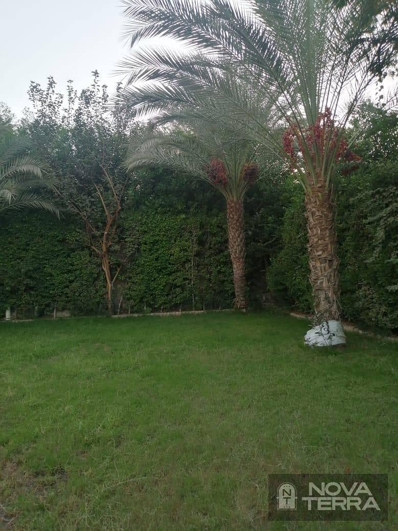 7 image-12. jpg