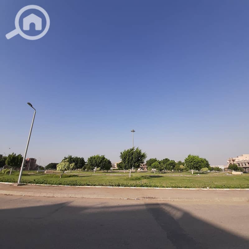 4 1002030457. jpg