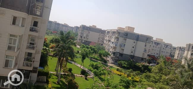3 Bedroom Flat for Rent in Madinaty, Cairo - 1000633719. jpg 3 Bedroom Flat for Rent in Madinaty, Cairo - 1000633719. jpg