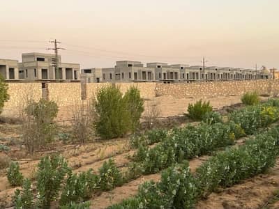 Land for Sale in 6th of October, Giza - ارض للبيع بالشيخ زايد الجديدة