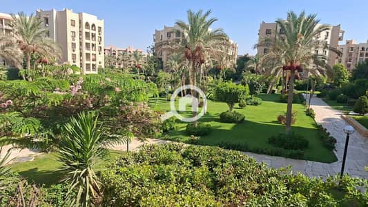 2 Bedroom Flat for Sale in New Cairo, Cairo - 1000349252. jpg 2 Bedroom Flat for Sale in New Cairo, Cairo - 1000349252. jpg