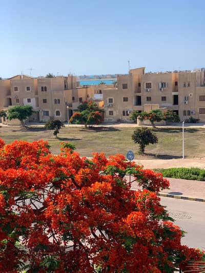 شاليه 3 غرف نوم للايجار في الساحل الشمالي، مطروح - IMG_4864. jpg