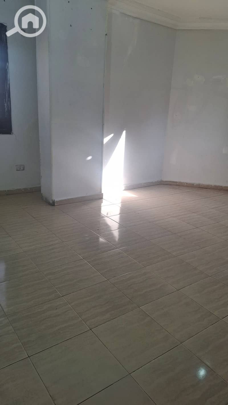 8 40367. jpg