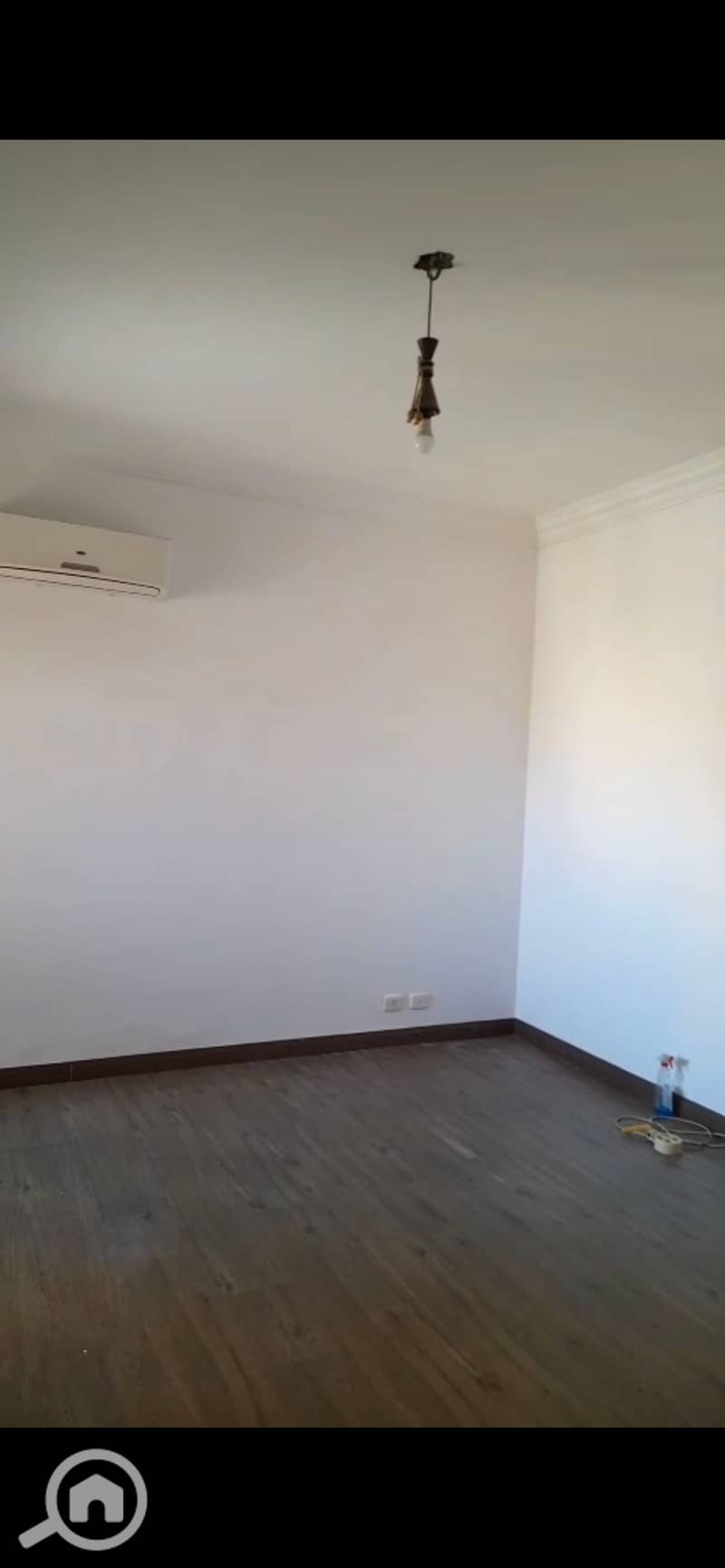 3 941641. jpg