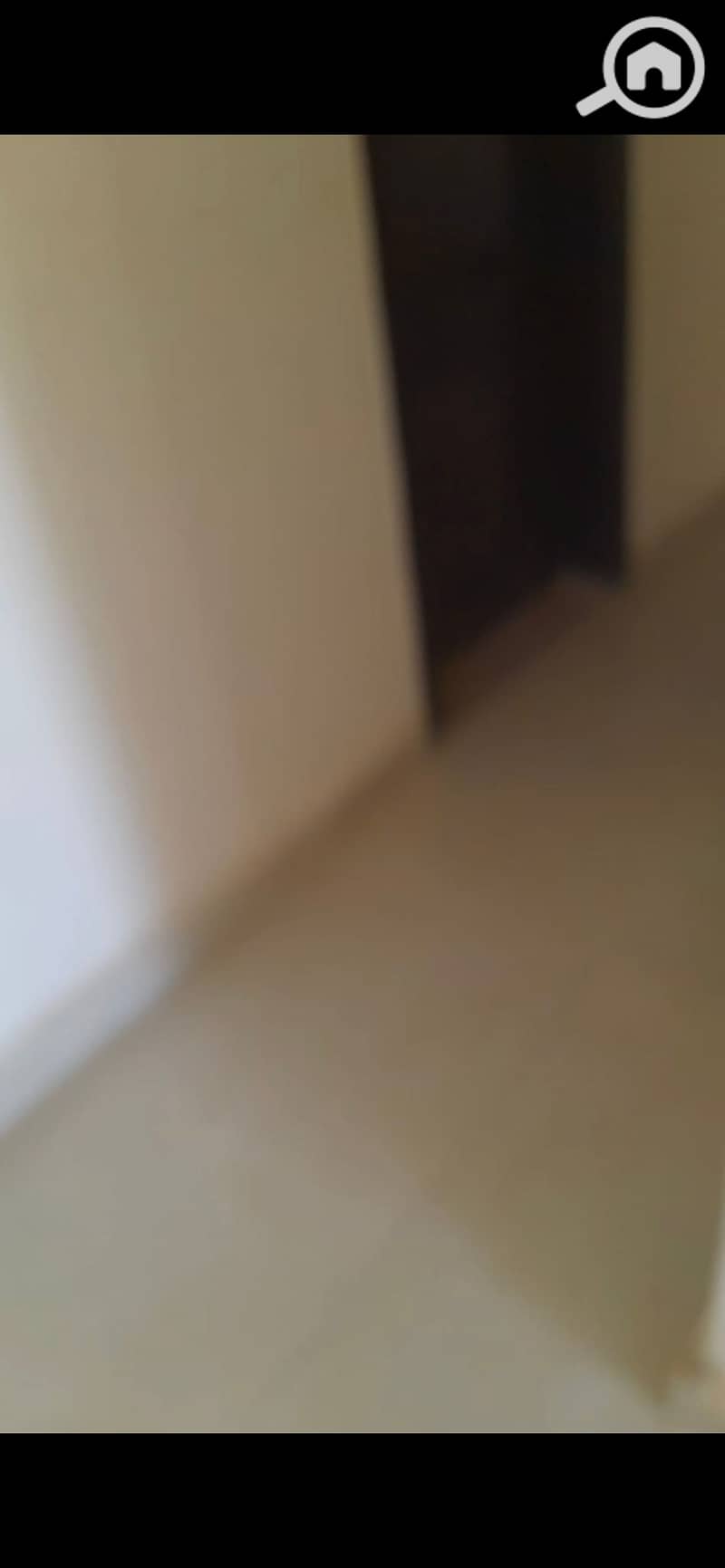 11 941555. jpg