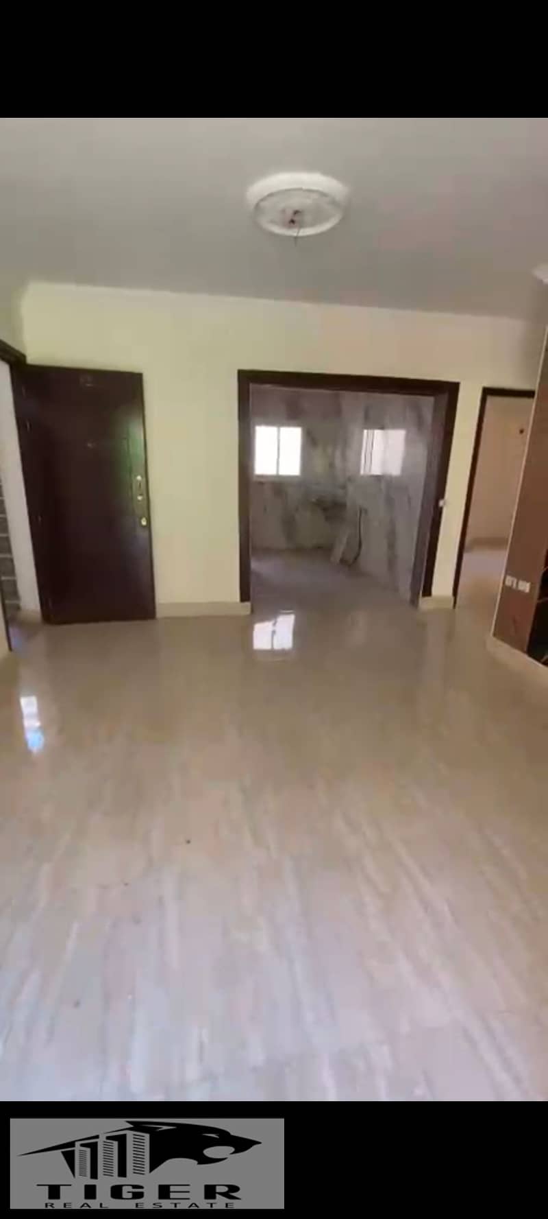 5 744699. jpg
