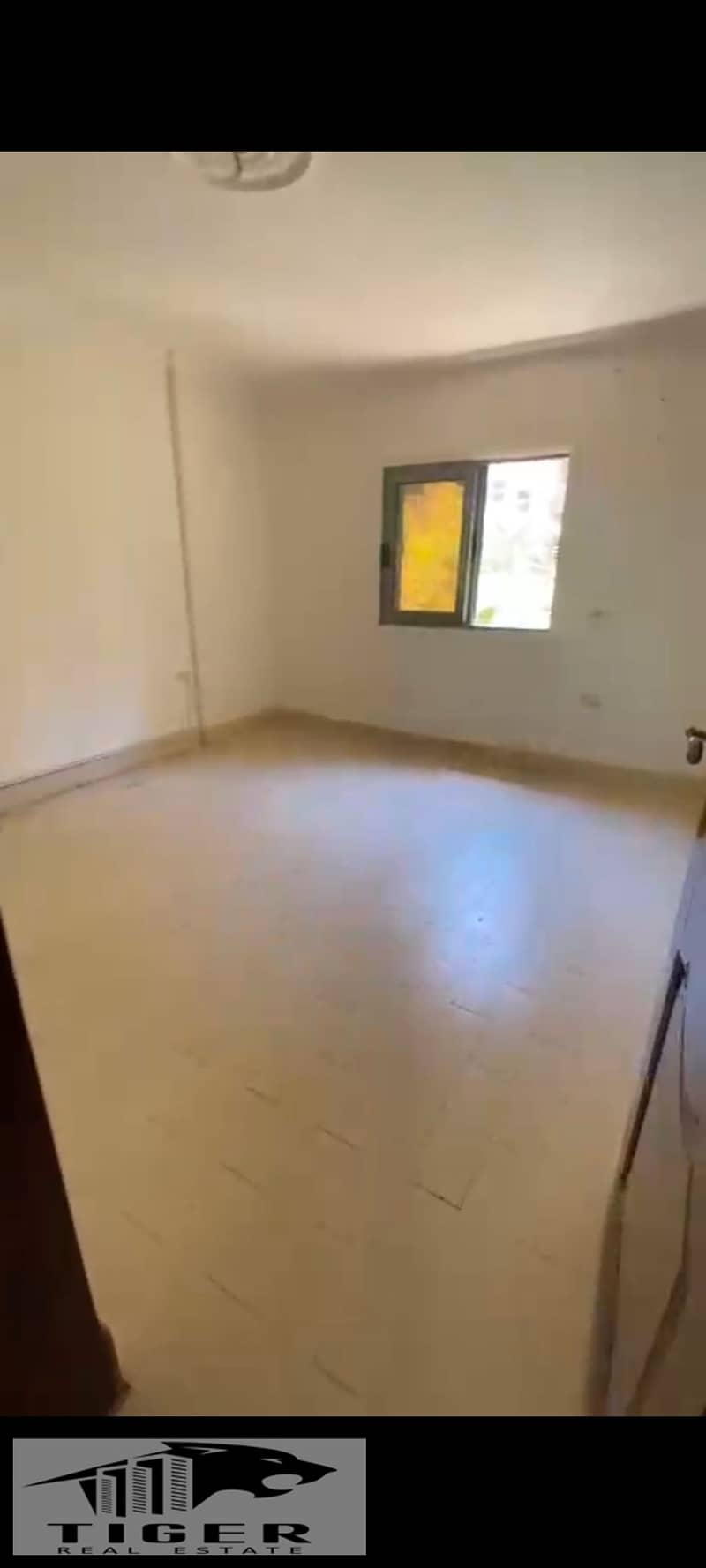 9 744702. jpg