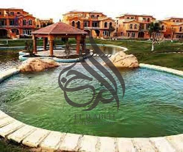 7 7. jpg