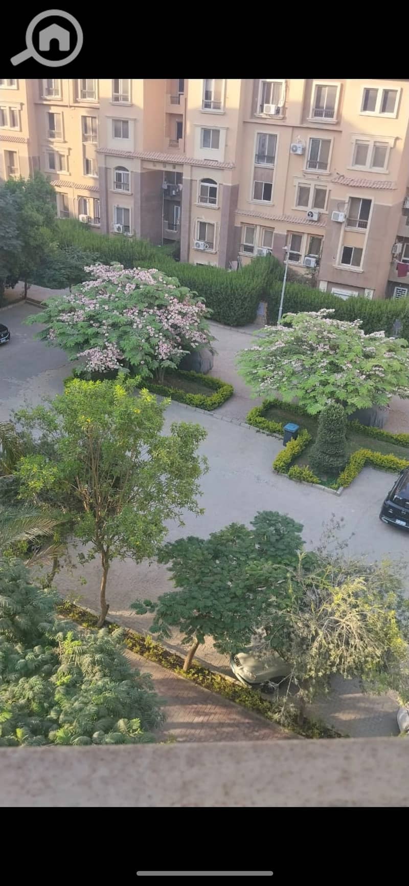 3 941828. jpg