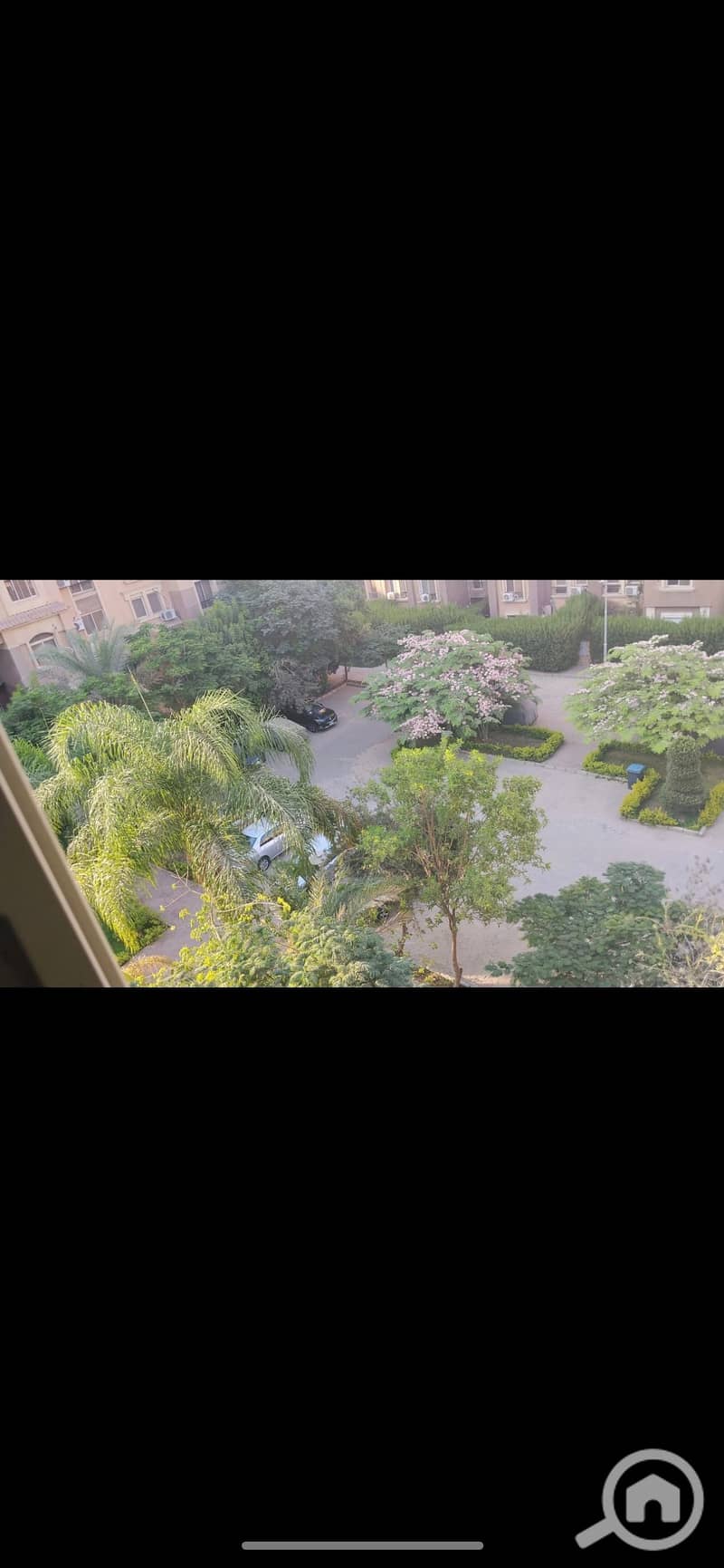 5 941829. jpg
