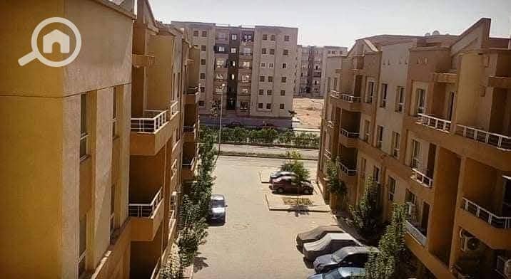 5 11539. jpg