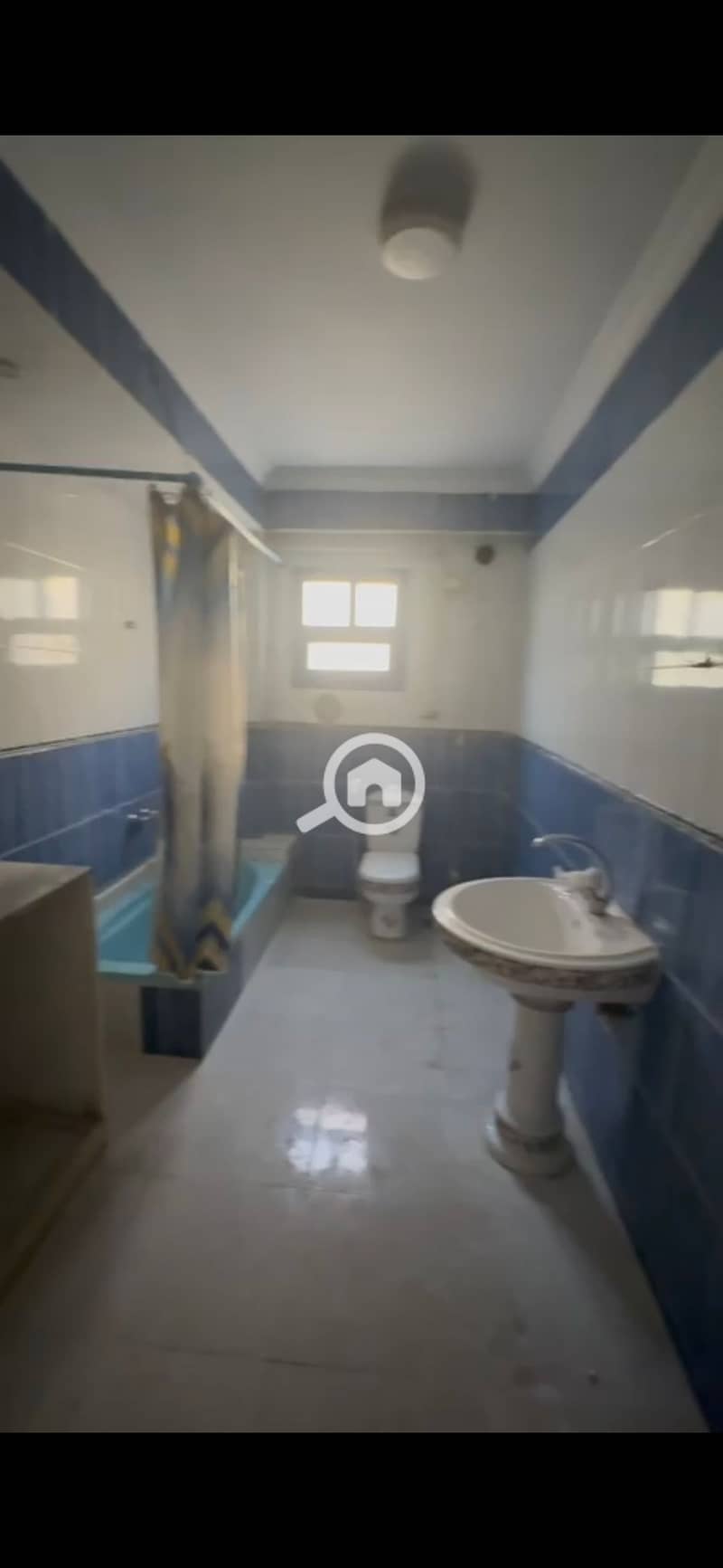 3 40937. jpg