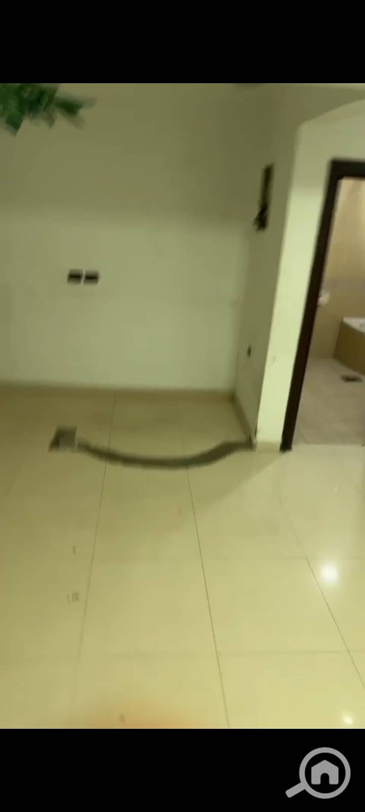 7 1000474846. jpg