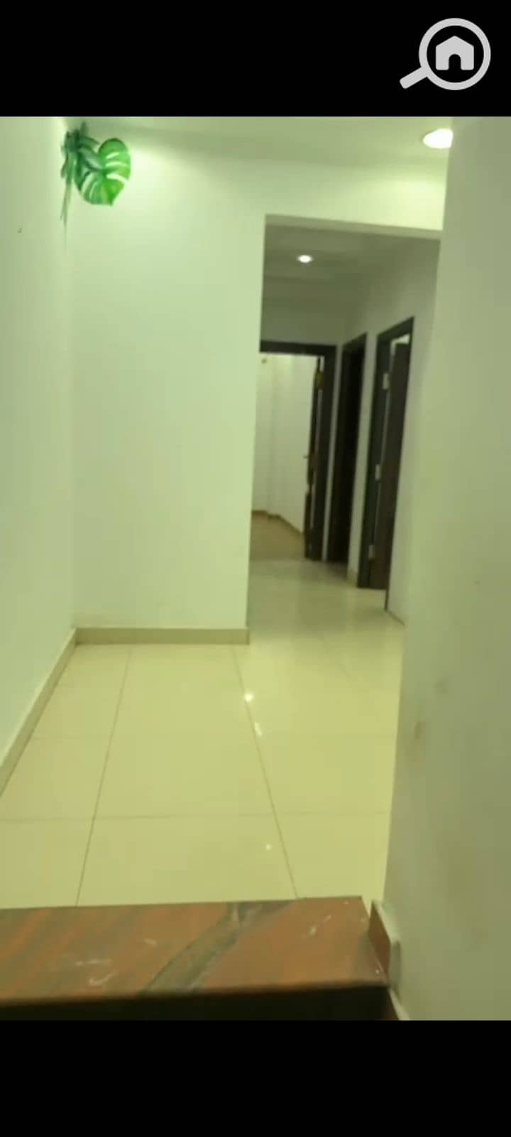 14 1000474835. jpg