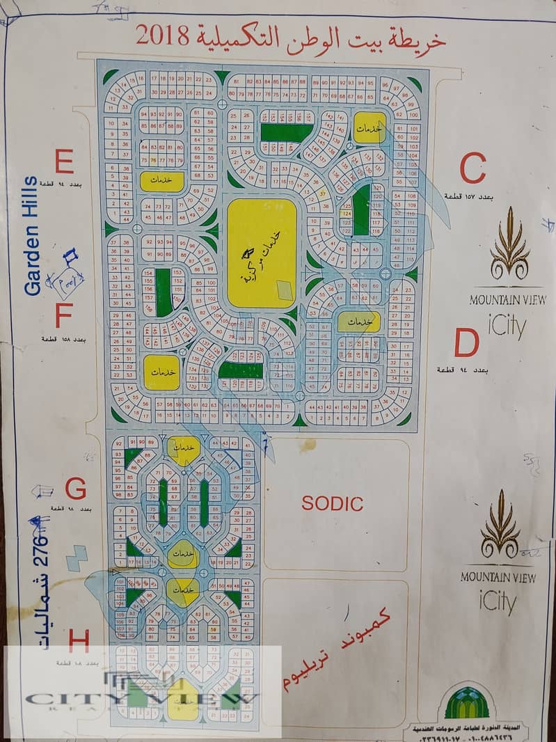 4 163538. jpg