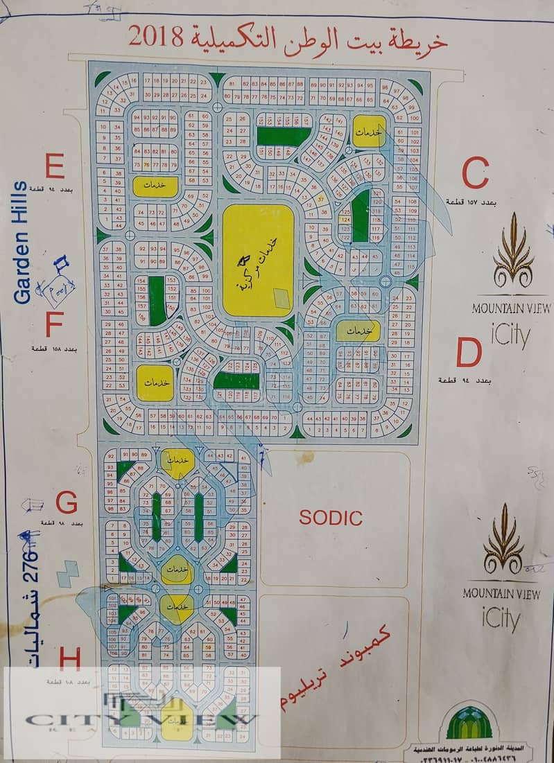 5 164075. jpg