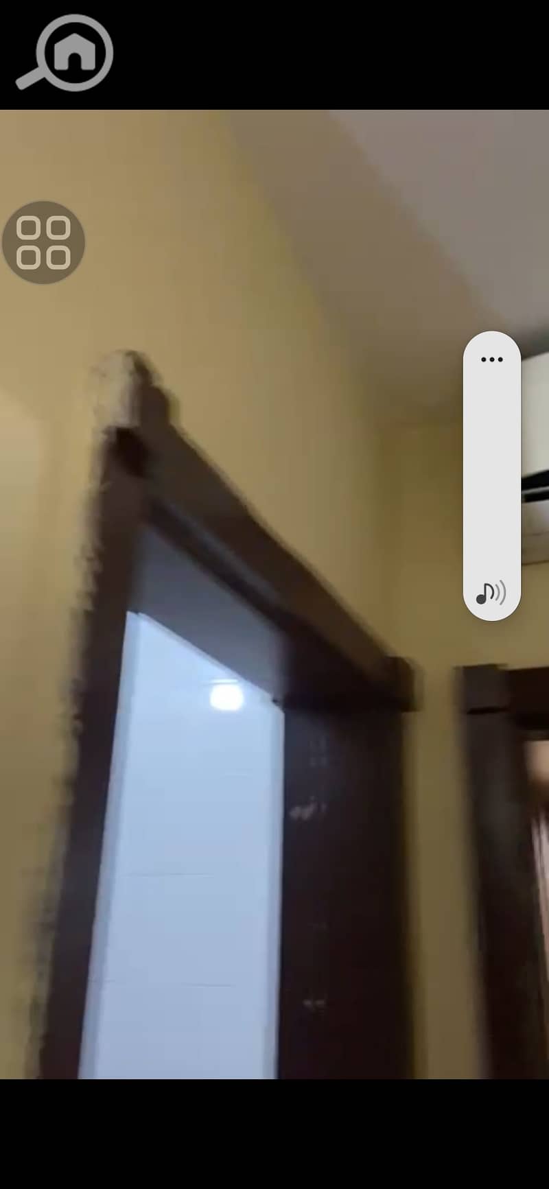 3 1000655341. jpg