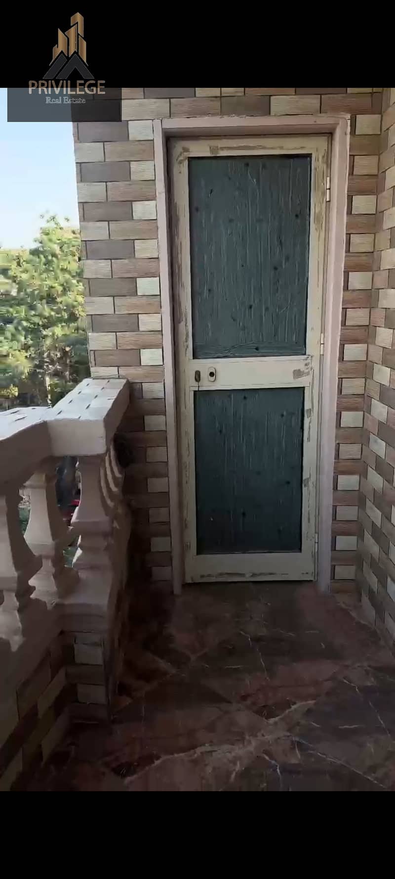 3 1000254618. jpg