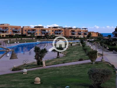 شاليه 3 غرف نوم للايجار في العين السخنة، السويس - 1000198644. jpg