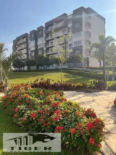 3 Bedroom Flat for Sale in Madinaty, Cairo - 197581. jpg 3 Bedroom Flat for Sale in Madinaty, Cairo - 197581. jpg