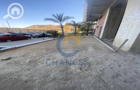 Restaurant & Cafe for Sale in Zahraa Al Maadi, Cairo - WhatsApp-Image-2026-03-19-at-11.26. 16-AM-1. jpg
