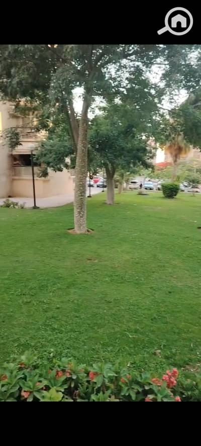 3 Bedroom Apartment for Rent in New Cairo, Cairo - WhatsApp Image 2026-08-26 at 1.09. 11 PM. jpeg 3 Bedroom Apartment for Rent in New Cairo, Cairo - WhatsApp Image 2026-08-26 at 1.09. 11 PM. jpeg