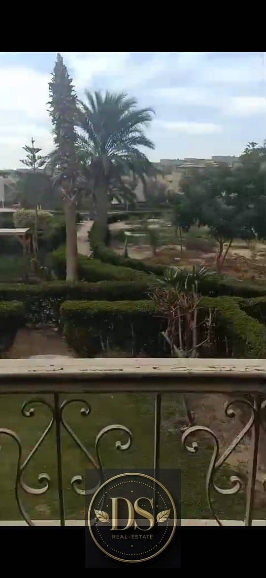 2 11. jpeg