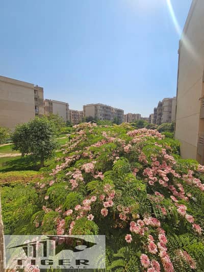 2 Bedroom Apartment for Sale in Madinaty, Cairo - 239025. jpg