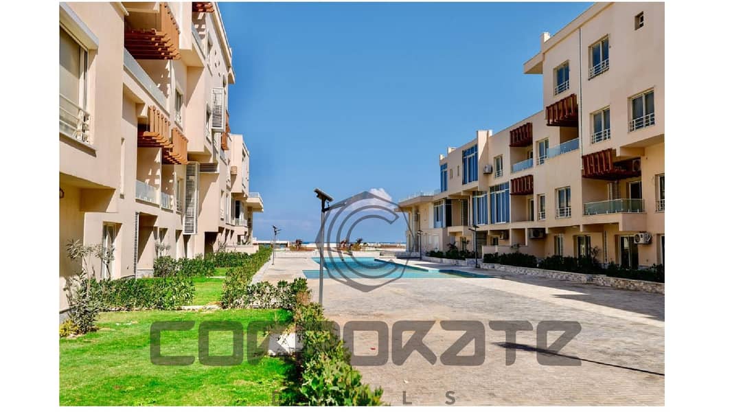 4 DWHITE LIVEPHOTOTS_05. jpg