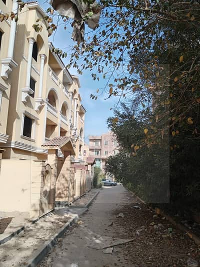 4 Bedroom Flat for Sale in Sheikh Zayed, Giza - WhatsApp Image 2026-08-24 at 2.31. 53 PM. jpeg 4 Bedroom Flat for Sale in Sheikh Zayed, Giza - WhatsApp Image 2026-08-24 at 2.31. 53 PM. jpeg
