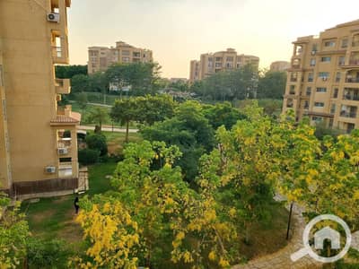 3 Bedroom Apartment for Rent in Madinaty, Cairo - FB_IMG_1787487335354. jpg