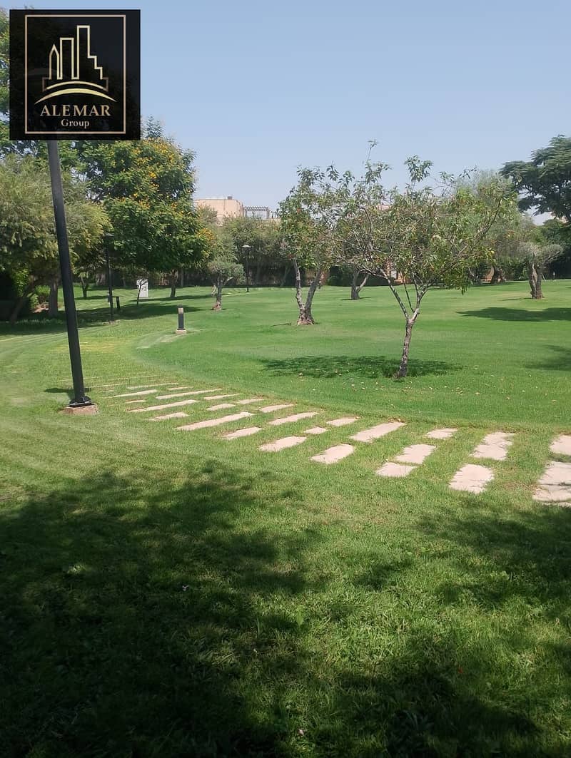 4 1000771202. jpg