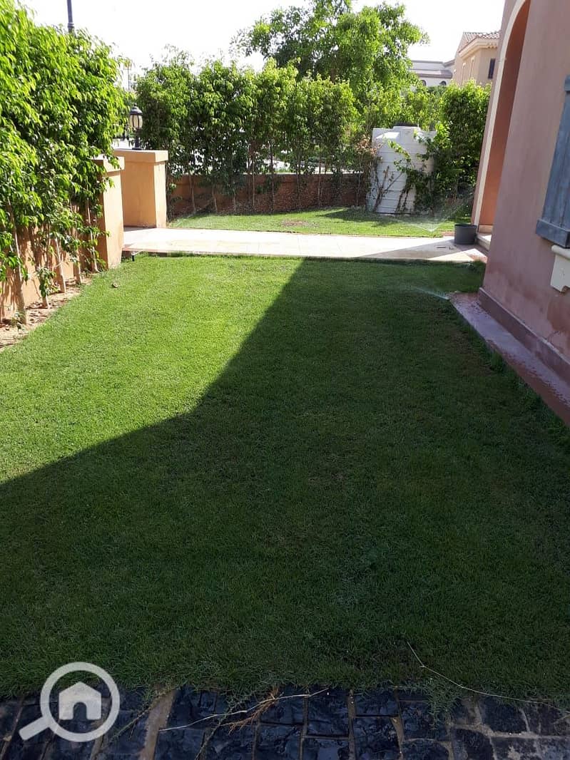 6 1001042007. jpg