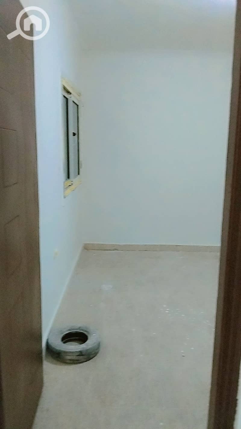 4 165343. jpg