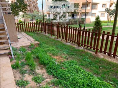 3 Bedroom Apartment for Rent in Madinaty, Cairo - WhatsApp Image 2026-08-26 at 2.41. 37 PM (1). jpeg