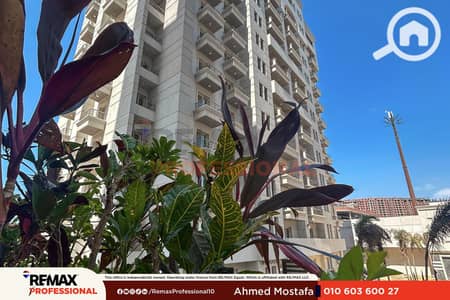 3 Bedroom Apartment for Sale in Moharam Bik, Alexandria - WhatsApp Image 2026-08-26 at 2.52. 48 PM (1). png