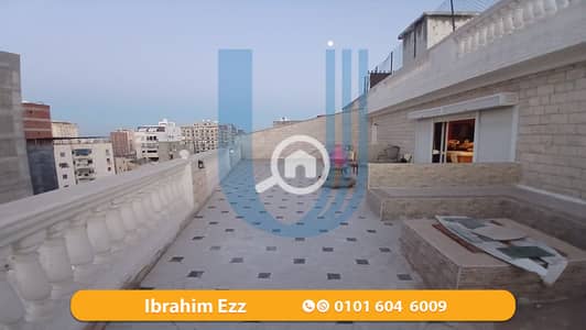 4 Bedroom Apartment for Sale in Gianaclis, Alexandria - 1. png