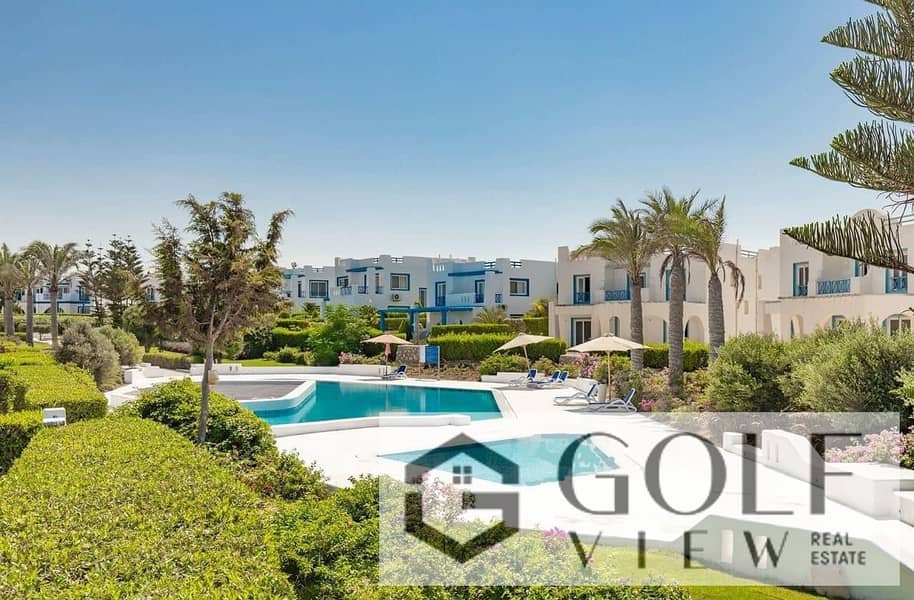 2 355484950_217757414491977_1621346630754324095_n. jpg