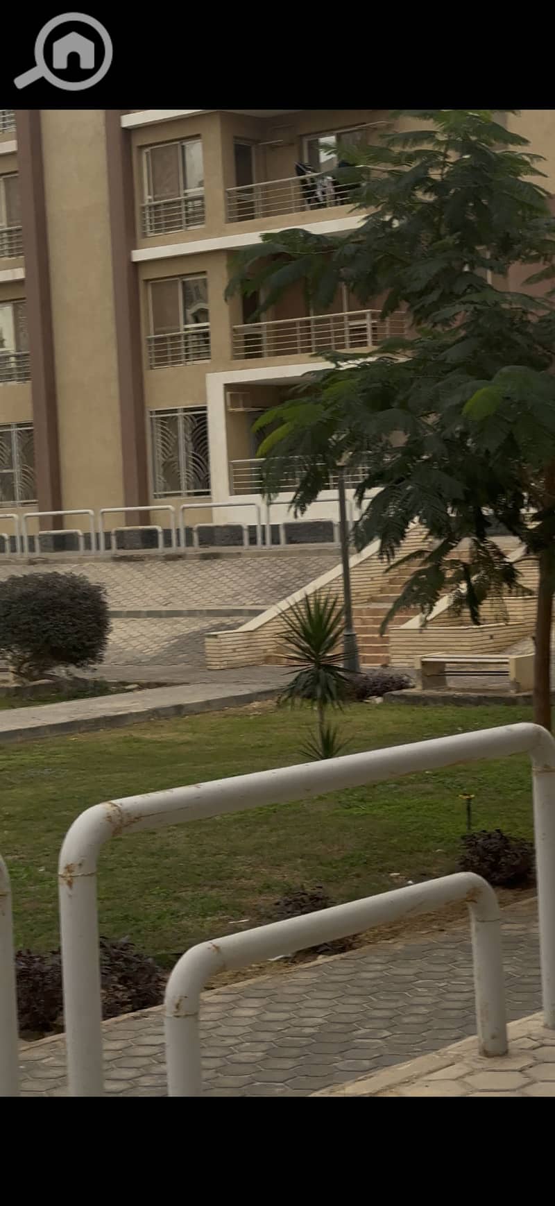 5 IMG_5623. png