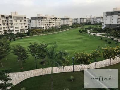 4 Bedroom Flat for Sale in Madinaty, Cairo - WhatsApp Image 2025-11-22 at 4.18. 15 PM (1). jpeg
