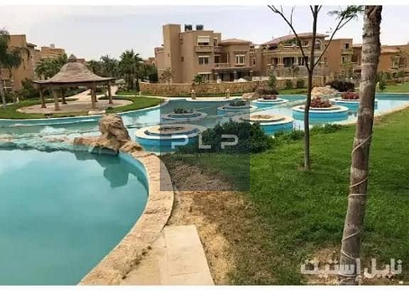 8 10. jpg