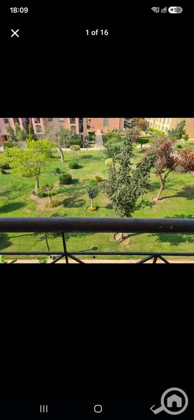 3 Bedroom Apartment for Rent in New Cairo, Cairo - 1000729972. jpg 3 Bedroom Apartment for Rent in New Cairo, Cairo - 1000729972. jpg