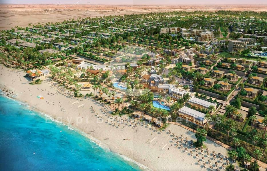17 WhatsApp Image 2026-01-26 at 2.50. 17 PM. jpeg