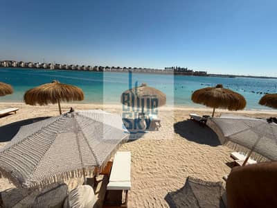 شاليه 1 غرفة نوم للبيع في الساحل الشمالي، مطروح - WhatsApp Image 2026-08-10 at 5.54. 58 PM. jpeg شاليه 1 غرفة نوم للبيع في الساحل الشمالي، مطروح - WhatsApp Image 2026-08-10 at 5.54. 58 PM. jpeg