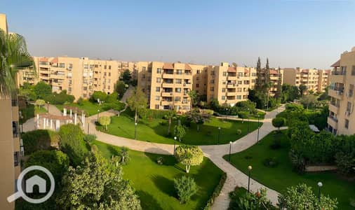 فلیٹ 3 غرف نوم للايجار في القاهرة الجديدة، القاهرة - WhatsApp Image 2026-08-26 at 12.03. 29 PM. jpeg فلیٹ 3 غرف نوم للايجار في القاهرة الجديدة، القاهرة - WhatsApp Image 2026-08-26 at 12.03. 29 PM. jpeg
