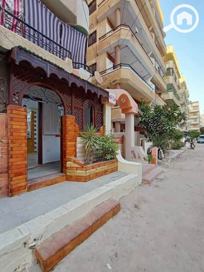 فلیٹ 1 غرفة نوم للبيع في النخيل، الإسكندرية - 1000479911. jpg