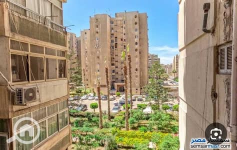 2 Bedroom Apartment for Rent in Smoha, Alexandria - 1000367068. jpg 2 Bedroom Apartment for Rent in Smoha, Alexandria - 1000367068. jpg