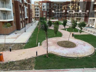 3 Bedroom Apartment for Sale in New Cairo, Cairo - 1000456003. jpg 3 Bedroom Apartment for Sale in New Cairo, Cairo - 1000456003. jpg
