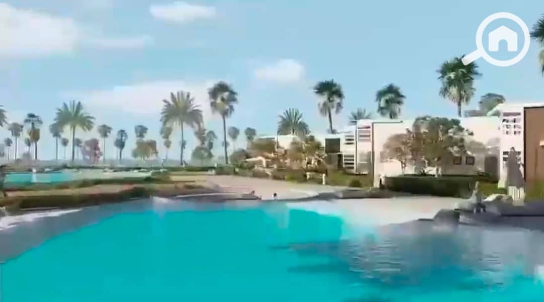 7 1000254790. jpg